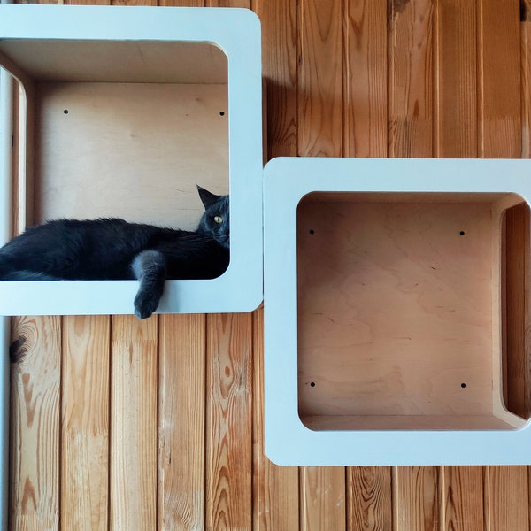 Floating cat bed, wall mounted cat shelves, cat climbing system, cat stairs on wall, cat wall furniture, cat climbing system, catification