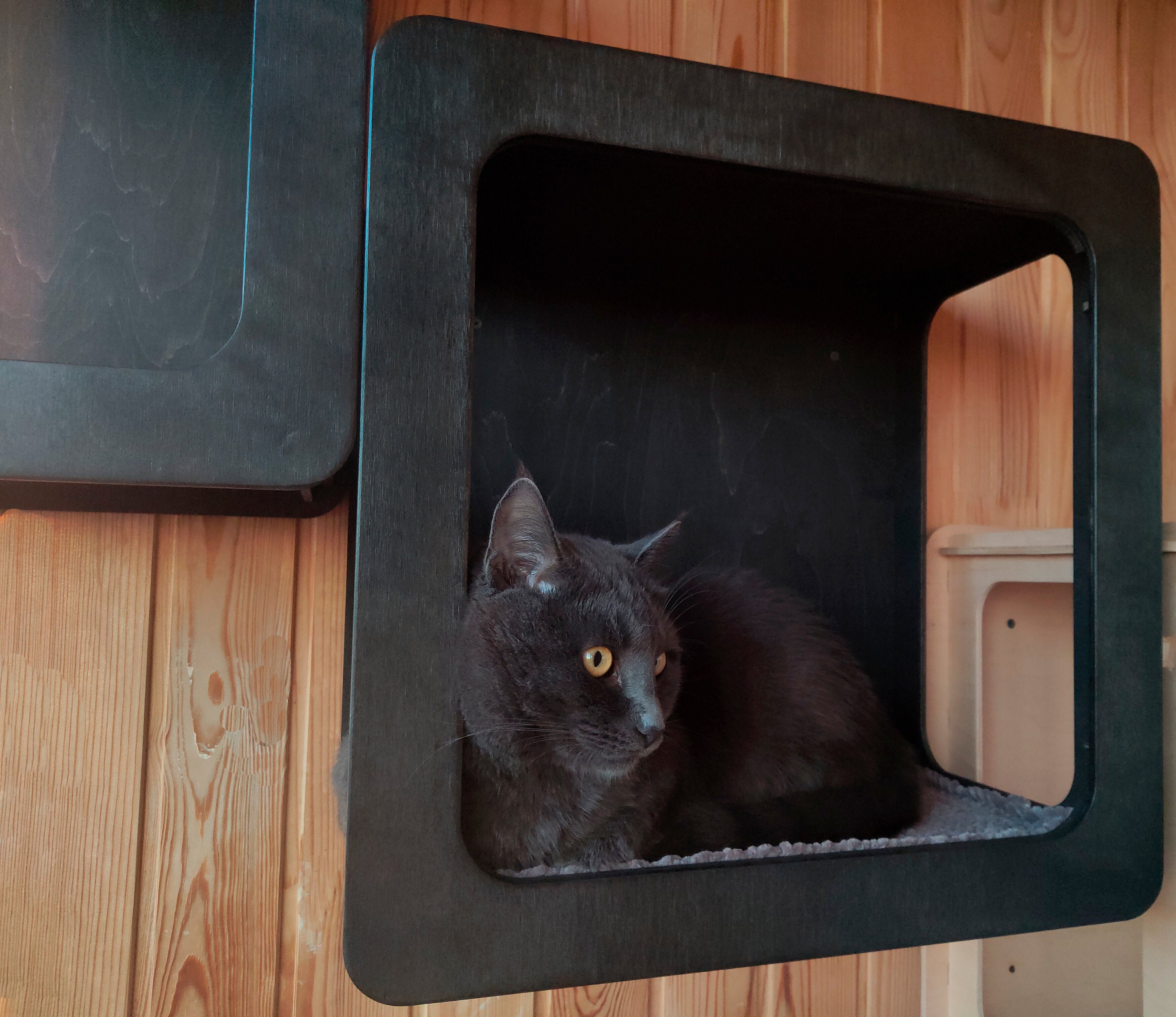Image showcasing Modern Wall Mounted Cat Shelves Cat Furniture Wall Cat House - Etsy