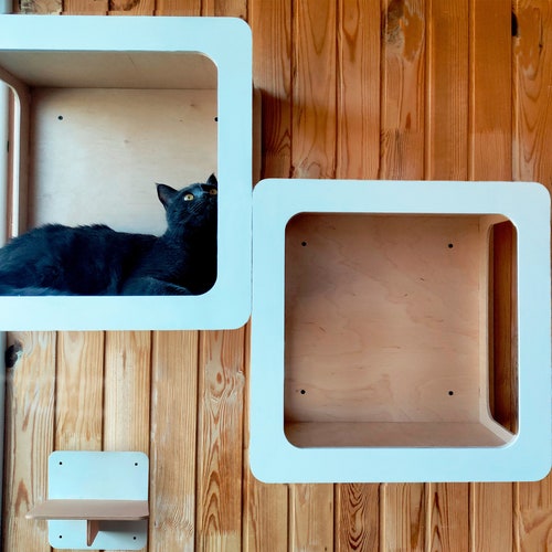 Floating Cat Shelves Modern Cat Furniture Cat Wall Shelf - Etsy