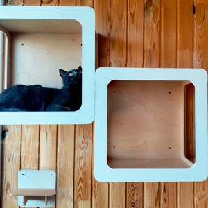 Cama para gatos de pared, estantes para gatos, muebles de pared para gatos, muebles modernos para gatos, muro de escalada para gatos, estantes tipo loft para gatos, cama flotante para gatos