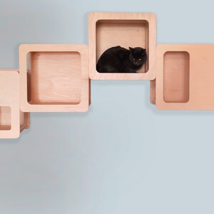 Cat wall furniture, cat gift, cat furniture, cat shelf, cat decor, cat wall shelves, cat play furniture, floating cat shelf, shelf for kitty