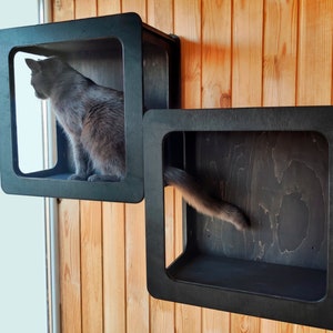 Cat Entertainment, Cat Wall Mounted Toy, Cat Climber, Cats Playground ...