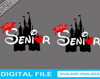 Free Free 324 Disney Graduation 2021 Svg SVG PNG EPS DXF File