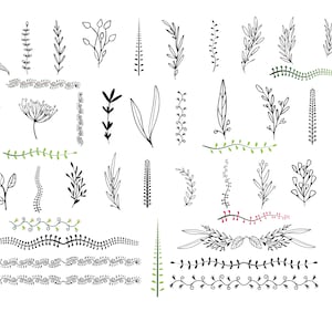 plant decorative svg, decorative flower petals png, flower silhouette