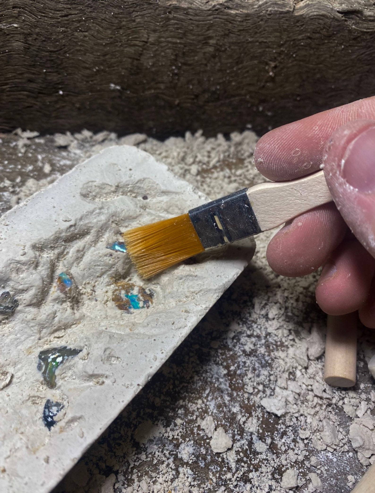 Opal Excavation Rough Opal Geology Dig Kit Handmade. Etsy