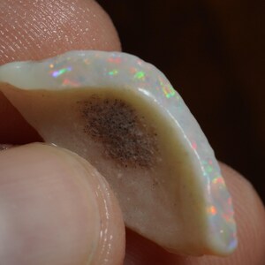 Könnte beinhalten: Nahaufnahme eines polierten Opal-Edelsteins. Der Opal hat eine cremeweiße Grundfarbe mit einem dunkelbraunen Einschluss. Auf der Oberfläche sind schillernde Blitze in Rot, Grün und Blau zu sehen, die sein Farbspiel zeigen.