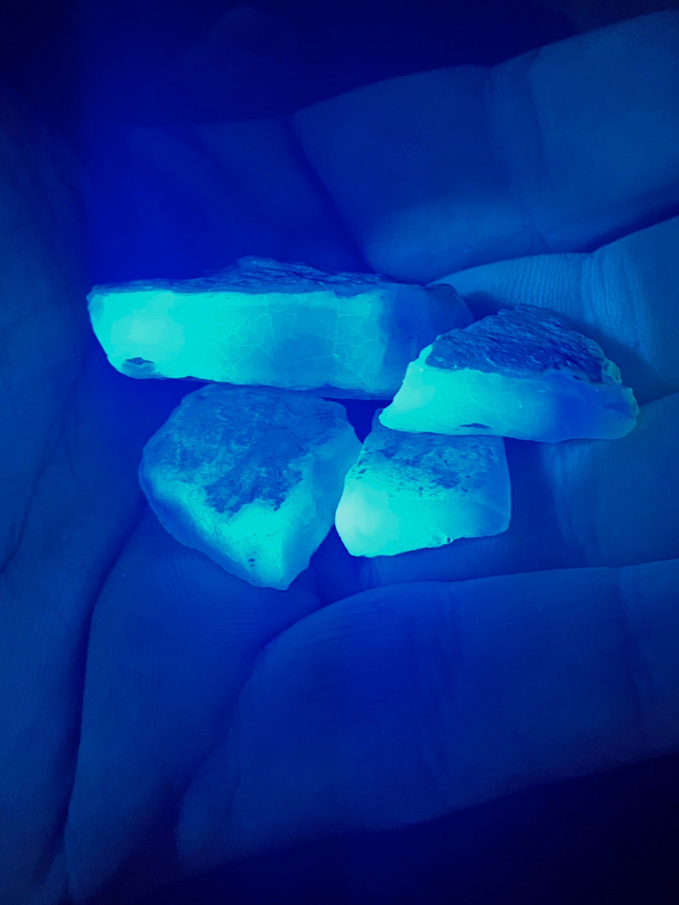 Opal Blacklight Kit Etsy