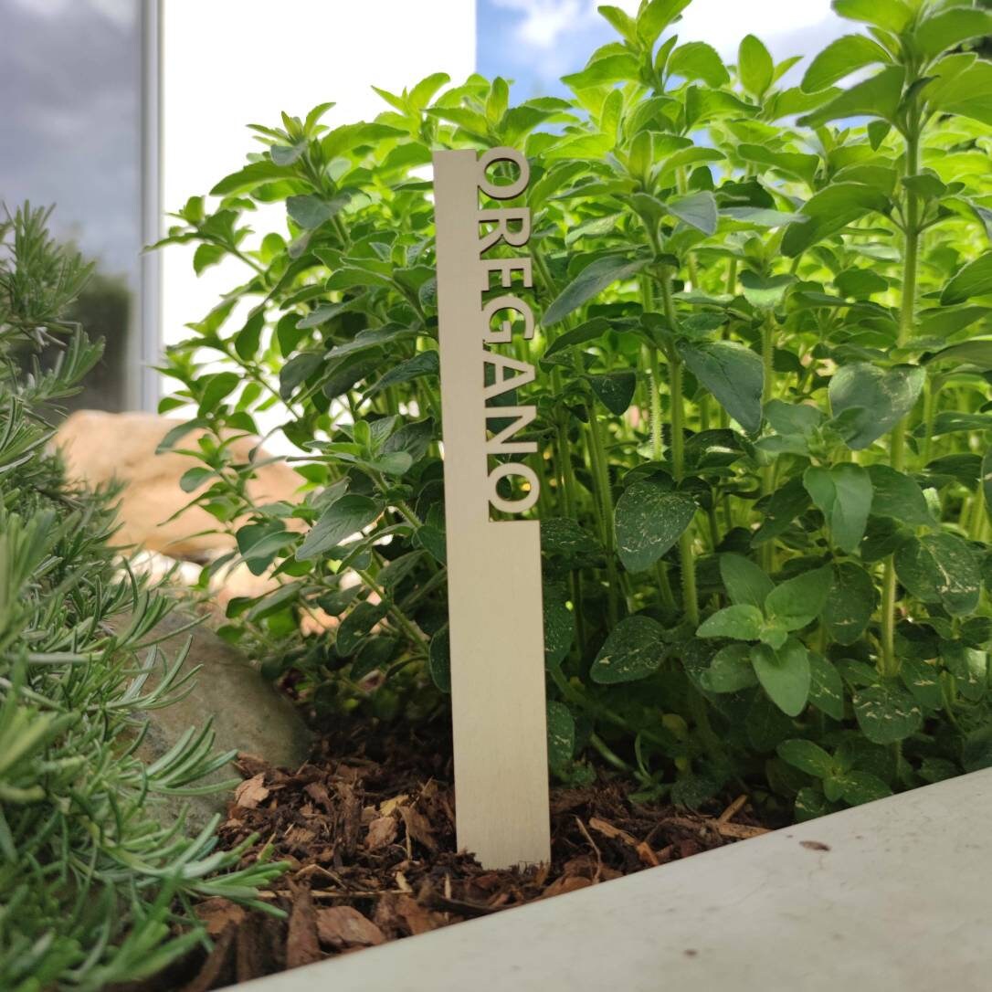 Plant Plug Wood Herb Plug for Herb Bed Etsy UK