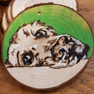 Retratos personalizados de pirografia de animais de estimação