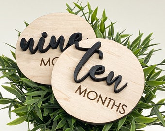 Baby Monthly Sign Set, Baby Announcement, New Mom Gift, Baby Shower Gift, Milestone Discs, Wood Monthly Photo Markers