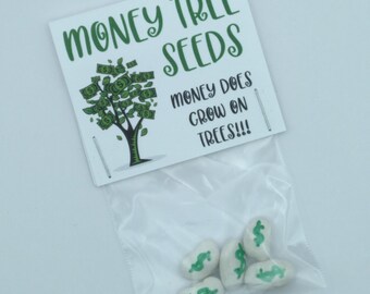 Money Tree Seeds - Etsy