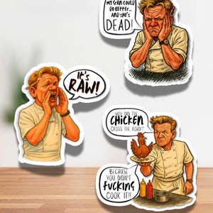 May include: Three stickers featuring a cartoon chef with speech bubbles. One says "It's RAW!", another says "My Gran could do better... and she's DEAD!" The third says "Why did the chicken cross the road? Because you didn't fucking cook it!!"