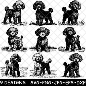 Caniche pequeño, lindo cachorro, esponjoso, de pelo rizado, mini mascota, archivo láser, SVG, PNG, JPG, escala de grises, imagen quemada, corte vectorial, posavasos, negro, blanco, CNC, madera