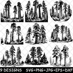 Puede incluir: Nueve diseños de siluetas de árboles de secuoya en blanco y negro. Los árboles son altos y delgados con una parte superior redondeada. Los diseños son perfectos para crear un tema inspirado en la naturaleza.
