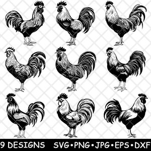 Rooster Chicken Cockerel Poultry Crow Farmyard Livestock Laser File SVG PNG JPG Grayscale Burn Image Cut Vector Coaster Black White Cnc Wood