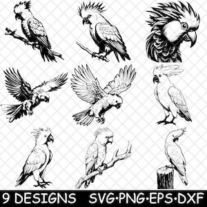 Kaketoe Crested Galah papegaai exotische tropische vogel huisdier laserbestand SVG PNG JPG grijswaarden afbeelding branden gesneden vector Coaster zwart wit CNC hout