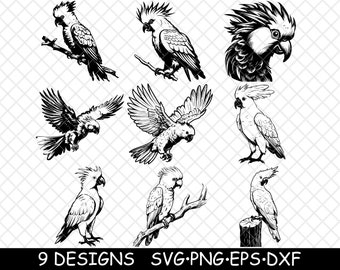 Cockatoo Bundle Parrot Bird Clipart Tropical Wildlife Vector Art Exotic Pet Laser Engraving Decor
