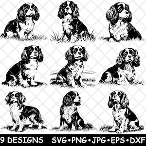 Cavalier King Charles-spaniël hond Blenheim kleine pup huisdier laserbestand SVG PNG JPG grijswaarden afbeelding branden gesneden vector Coaster zwart wit CNC hout