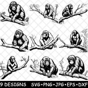 Monkey Chimpanzee Jungle Tree Branch Orangutan Primate Laser File SVG PNG JPG Grayscale Burn Image Cut Vector Coaster Black White Cnc Wood