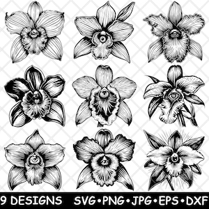 Orchidée centrale oeil fleur floral plante Cattleya botanique fichier laser SVG PNG JPG niveaux de gris gravure image coupe vecteur dessous de verre noir blanc cnc bois