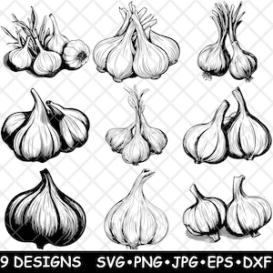 May include: Nine black and white line art illustrations of garlic bulbs. The garlic bulbs are drawn in a realistic style with detailed textures.