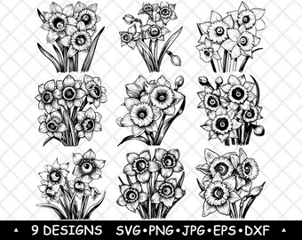 Daffodil SVG Bundle Narcissus Flower Bouquets Botanical Clipart Cricut Laser Engraving Spring Art Print