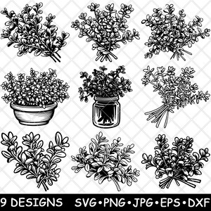 Timo Erbe Spezie Foglie Secche Pianta Giardino Ingredienti File Laser SVG PNG JPG Scala di Grigi Brucia Immagine Taglia Vettore Sottobicchiere Nero Bianco Cnc Legno