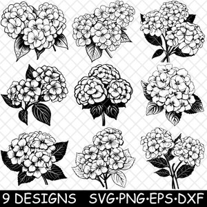 Hydrangea Flower Bloom Garden Shrub Hortensia Floral PNG,SVG,EPS,Cricut,Silhouette,Cut,Engrave,Stencil,Sticker,Decal,Vector,Clipart,Print