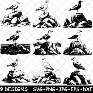 Gabbiano Uccello marino Costa Riva Aringa Oceano Rocce Spiaggia File laser SVG PNG JPG Scala di grigi Brucia Immagine Taglio Vettore Sottobicchiere Nero Bianco Cnc Legno