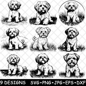 Maltese terriër hond klein huisdier schattig pluizige vacht trouwe pup laserbestand SVG PNG JPG grijswaarden afbeelding branden gesneden vector Coaster zwart wit CNC hout