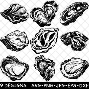 Puede incluir: Nueve ilustraciones en blanco y negro de conchas de ostras en varias posiciones y ángulos. Las ilustraciones están en un estilo simple, de arte lineal.