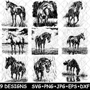 Cheval Arabian Mustang ferme de campagne équine il pleut scène fichier laser SVG PNG JPG niveaux de gris gravure image coupe vecteur sous-verre noir blanc Cnc bois