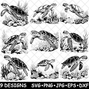 Groene zeeschildpad schildpad oceaan marine onderwater rif koraal aqua SVG, dxf, eps, png, cricut, silhouet, snede, laser, stencil, opstrijkbare, clipart, print
