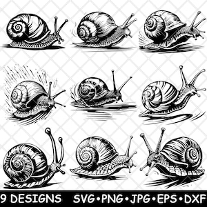 Lumaca strisciante Spirale Conchiglia Gasteropode Lento Veloce Animale Laser File SVG PNG JPG Scala di grigi Brucia Immagine Taglia Vettore Sottobicchiere Nero Bianco Cnc Legno