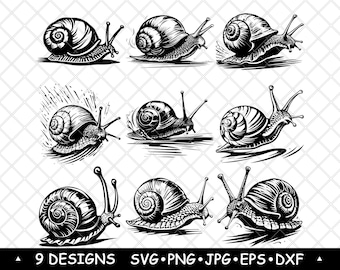 Snail SVG Bundle Spiral Shell Mollusk Clipart Garden Wildlife Designs Laser Engraving Art Print