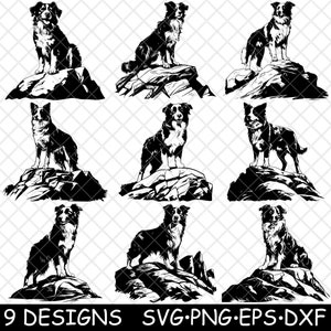 Border Collie Hütehund Arbeiten Schäferhund Bauernhof Pelz Haustier Laserdatei SVG PNG JPG Brennen Bild geschnitten Vektor Untersetzer Schwarz Weiß Cnc Holz