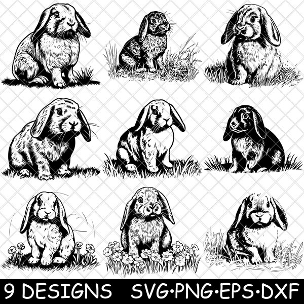 Cute Dutch Rabbit Vector Dutch Bunny - Etsy