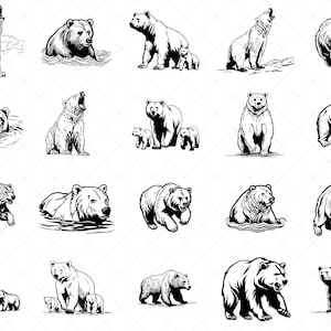Paquete de imágenes prediseñadas SVG de osos, animales salvajes, oso grizzly, polar, vector, decoración de vida silvestre, grabado láser PNG