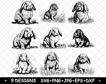 Holland Lop Dwarf Rabbit Mini Small Bunny Eared Pet Petite Dutch SVG,Dxf,Eps,PNG,Cricut,Silhouette,Cut,Laser,Stencil,Sticker,Clipart,Print