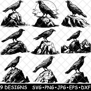 May include: A collection of nine black and white graphic illustrations featuring ravens perched on rocky outcrops. The designs showcase various raven poses on stones, with some including mountain backgrounds. Text at the bottom reads 9 DESIGNS SVG PNG JPG EPS DXF.
