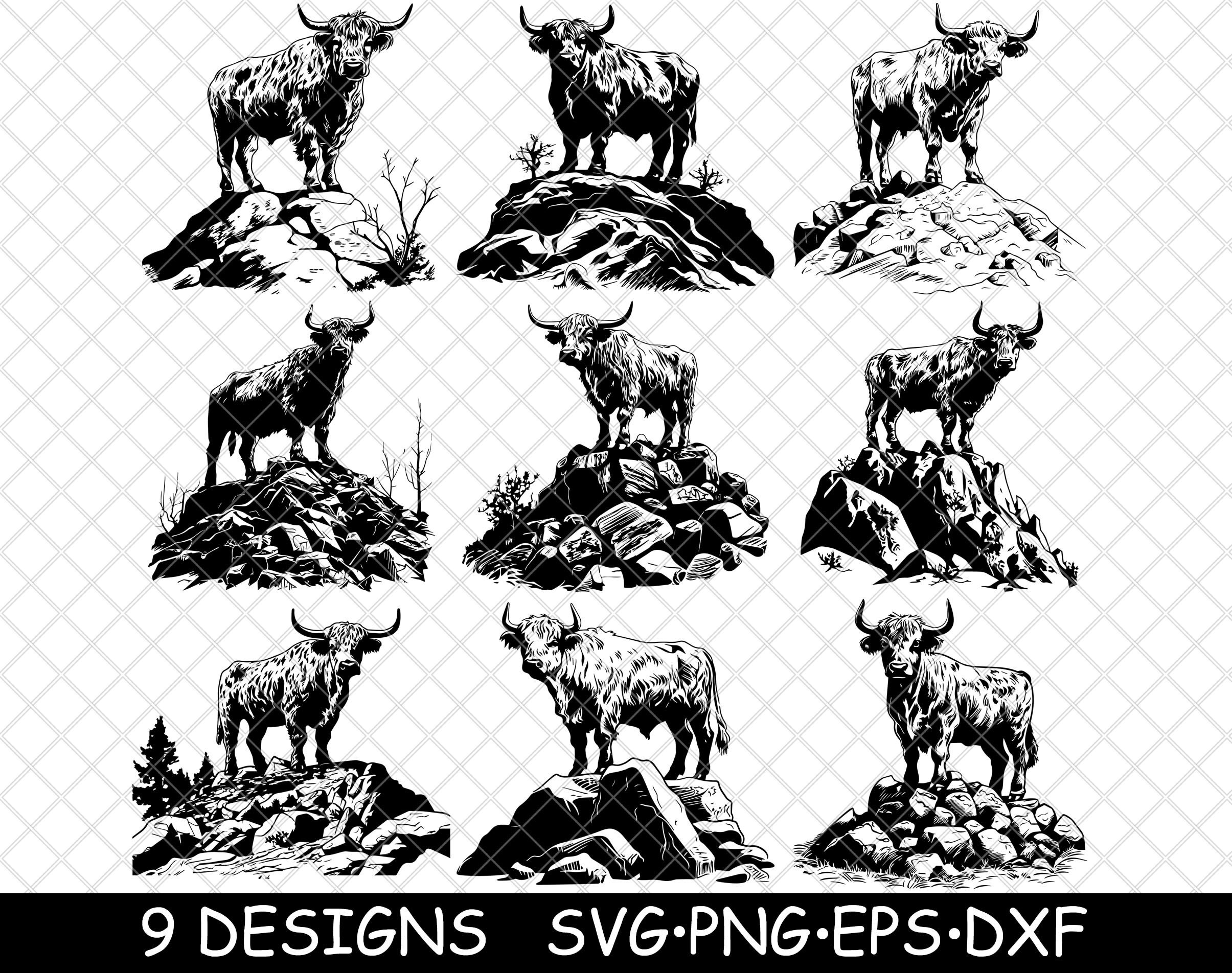 Highland Cow Scottish Fluffy Cattle Shaggy Coo Long Horn Farm - Etsy UK