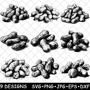 May include: Nine black and white illustrations of peanuts in various arrangements. The peanuts are drawn in a realistic style, with detailed textures and shadows.