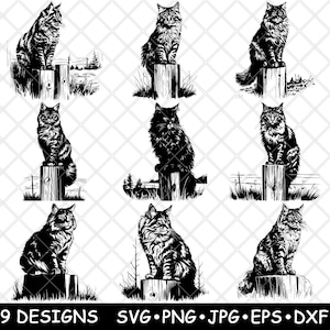Maine coon chat à poil long chat domestique de ferme félin fichier laser SVG PNG JPG niveaux de gris gravure image coupe vecteur sous-bock noir blanc bois cnc