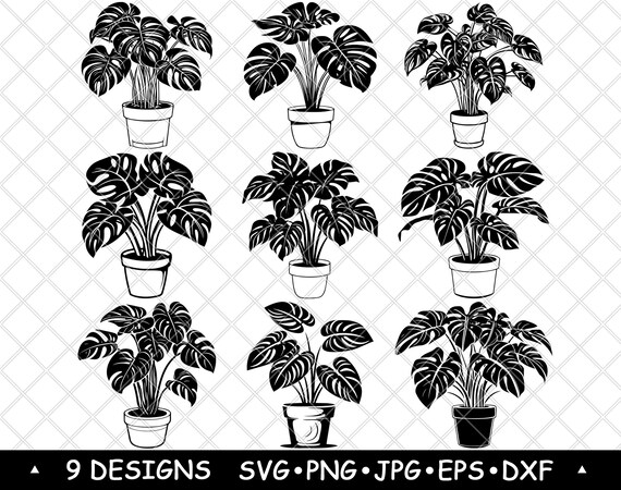 Monstera Plant Clipart Bundle | Tropical Potted Plant SVG PNG | Houseplant  Line Art for Cricut, Stickers, Wall Art, Sublimation - Etsy