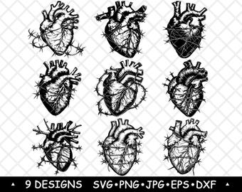 Drut kolczasty Serce SVG Anatomiczny Organ Clipart Gotycki Medyczny Wektor Ciemny Projekt Grawerowania Laserowego