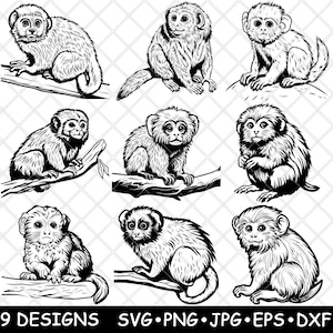 May include: Nine black and white line art illustrations of marmoset monkeys in various poses. The monkeys are sitting, standing, and climbing on branches.
