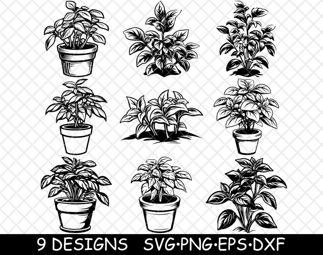 Sweet Basil Herb Plant Leaves Kitchen Cuisine Spicy Mint Laser File SVG ...