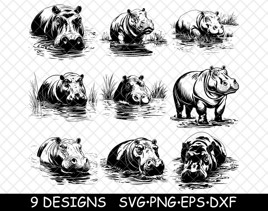 Hippopotamus Hippo River Horse African Herbivore Aquatic - Etsy