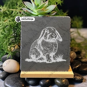 Holland Lop Dwarf Rabbit Mini Small Bunny Eared Pet Petite Dutch Svg ...