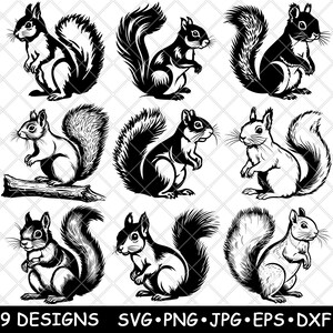 Écureuil rongeur Tamia rayé Arbre généalogique Noix borgne Fichier laser SVG PNG JPG en niveaux de gris Gravure Image coupe vecteur sous-bock noir blanc Cnc bois